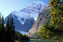 天涯社区十大神贴合集：重温网络文化黄金时代